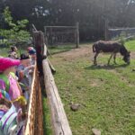 IMG-20240606-WA0078